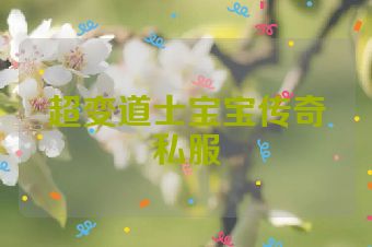 超变道士宝宝传奇私服