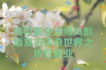 传世霸业法师风影盾复古传奇世界之传世霸业
