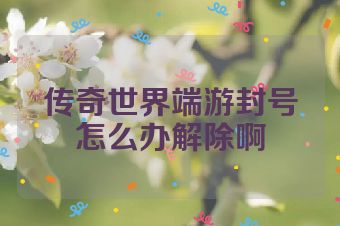 传奇世界端游封号怎么办解除啊