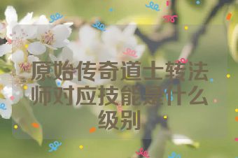 原始传奇道士转法师对应技能是什么级别