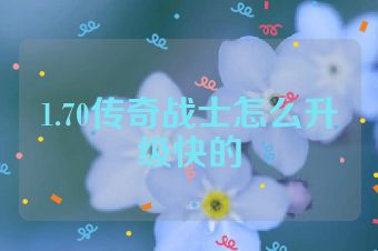 1.70传奇战士怎么升级快的