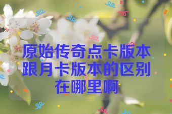 原始传奇点卡版本跟月卡版本的区别在哪里啊