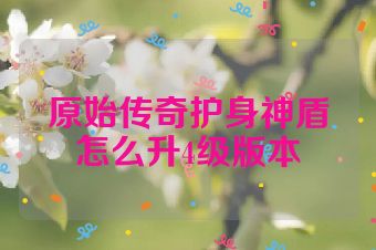 原始传奇护身神盾怎么升4级版本
