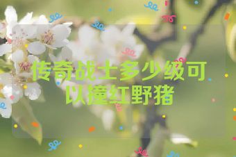 传奇战士多少级可以撞红野猪