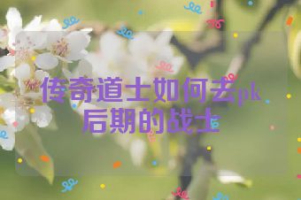 传奇道士如何去pk后期的战士