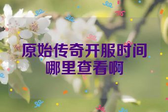 原始传奇开服时间哪里查看啊