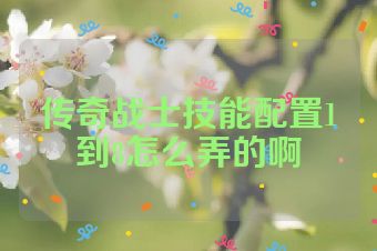 传奇战士技能配置1到8怎么弄的啊