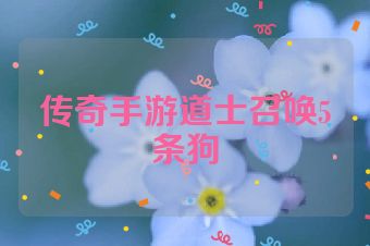 传奇手游道士召唤5条狗