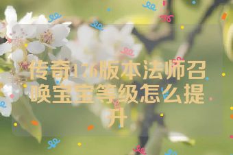 传奇176版本法师召唤宝宝等级怎么提升