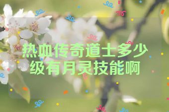 热血传奇道士多少级有月灵技能啊