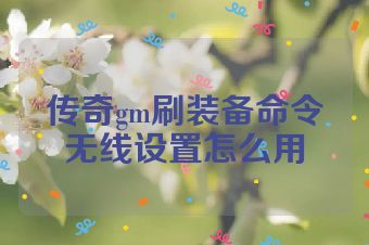 传奇gm刷装备命令无线设置怎么用