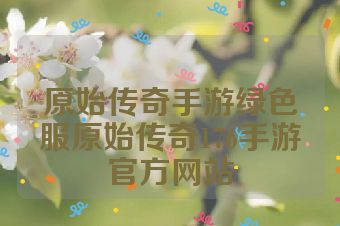 原始传奇手游绿色服原始传奇176手游官方网站