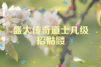盛大传奇道士几级招骷髅