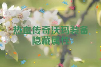 热血传奇沃玛装备隐藏属性