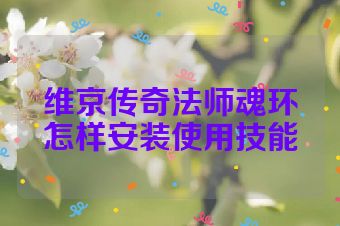 维京传奇法师魂环怎样安装使用技能