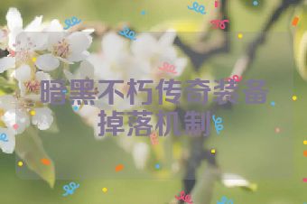 暗黑不朽传奇装备掉落机制