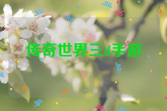 传奇世界三d手游