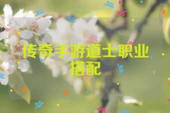 传奇手游道士职业搭配