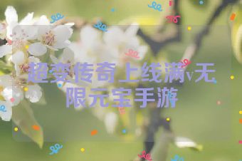 超变传奇上线满v无限元宝手游