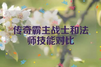 传奇霸主战士和法师技能对比