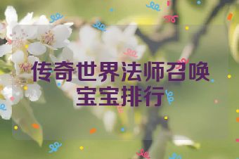 传奇世界法师召唤宝宝排行