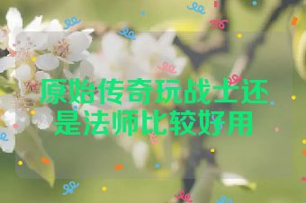 原始传奇玩战士还是法师比较好用