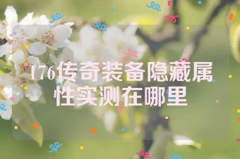 176传奇装备隐藏属性实测在哪里