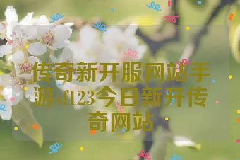 传奇新开服网站手游sf123今日新开传奇网站