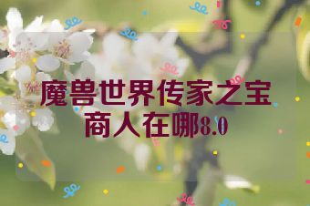 魔兽世界传家之宝商人在哪8.0