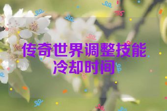 传奇世界调整技能冷却时间