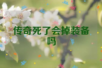 传奇死了会掉装备吗