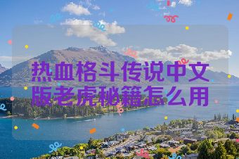 热血格斗传说中文版老虎秘籍怎么用