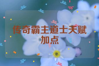 传奇霸主道士天赋加点