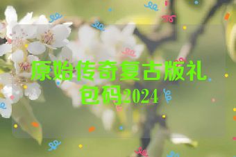 原始传奇复古版礼包码2024