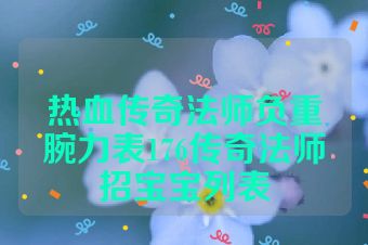 热血传奇法师负重腕力表176传奇法师招宝宝列表