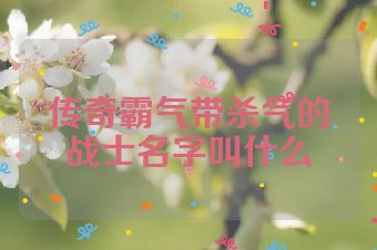 传奇霸气带杀气的战士名字叫什么