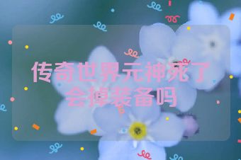 传奇世界元神死了会掉装备吗