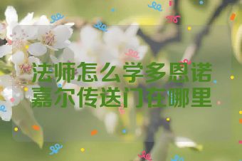 法师怎么学多恩诺嘉尔传送门在哪里