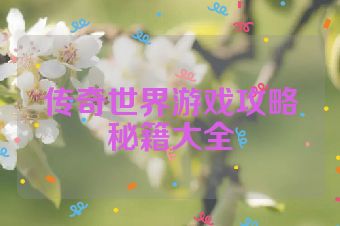 传奇世界游戏攻略秘籍大全