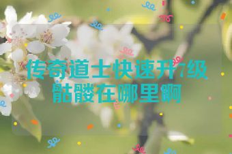 传奇道士快速升7级骷髅在哪里啊