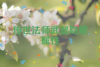 传世法师武器隐藏属性