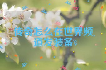 传奇怎么在世界频道发装备
