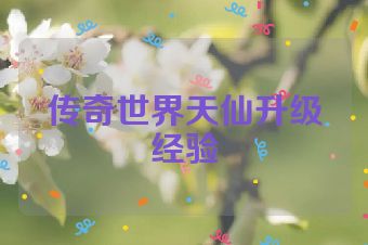传奇世界天仙升级经验