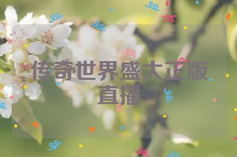 传奇世界盛大正版直播