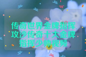 传奇世界金牌指挥攻沙传奇十大金牌指挥少帅视频