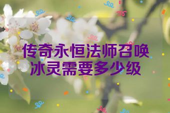 传奇永恒法师召唤冰灵需要多少级