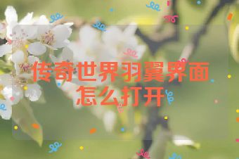 传奇世界羽翼界面怎么打开