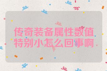 传奇装备属性数值特别小怎么回事啊