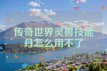 传奇世界灵兽技能丹怎么用不了