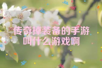 传奇掉装备的手游叫什么游戏啊